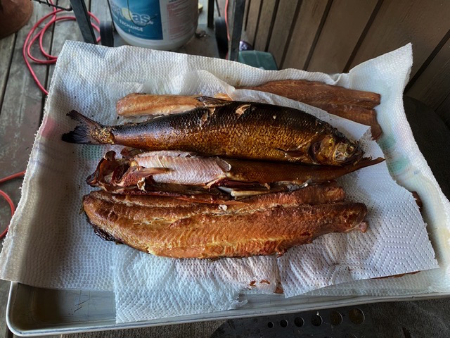 smoled fish